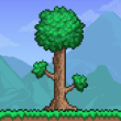 Published & copyrighted by 505 Games Srl Terraria