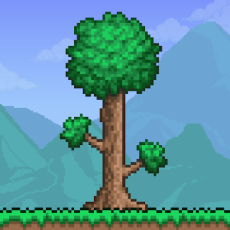 Published & copyrighted by 505 Games Srl Terraria