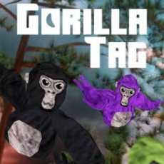 Published & copyrighted by Another Axiom Inc. Gorilla Tag