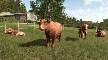 Farming Simulator 25: Highlands Fishing Expansion Farming Simulator 25: Highlands Fishing Expansion